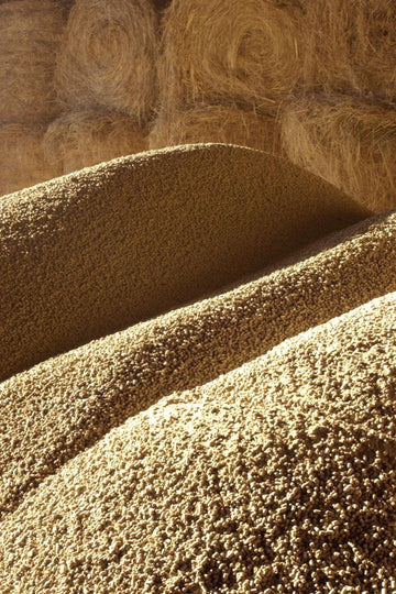 Lecithin